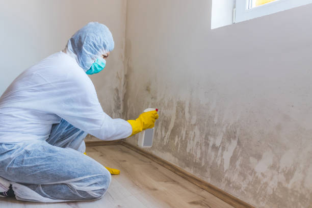 Commercial Mold Remediation assessment for commercial property in Rosedale
