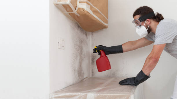 Attic Mold Remediation treatment on roof deck in Rosedale